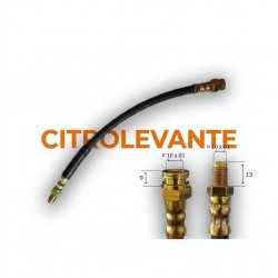 LATIGUILLO DEL