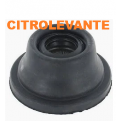 FUELLE TRANSMISION LADO CAJA