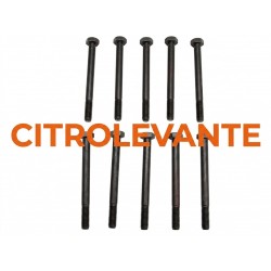 TORNILLOS CULATA (JGO)