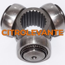 TRIPODE TRANSMISION