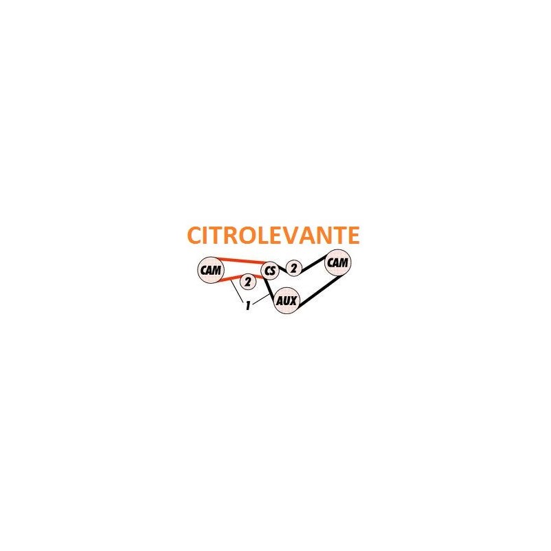 KIT DISTRIBUCIÓN