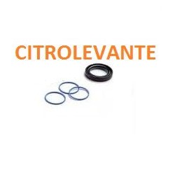 JGO CASQUILLOS CREMALLERA