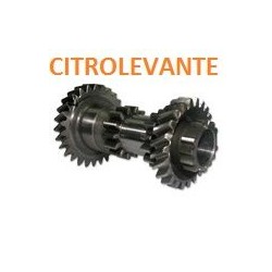TREN INTERMEDIARIO 25 dientes