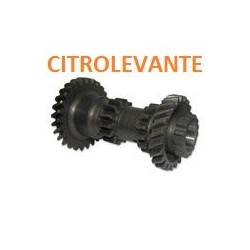 TREN INTERMEDIARIO 25 DIENTES
