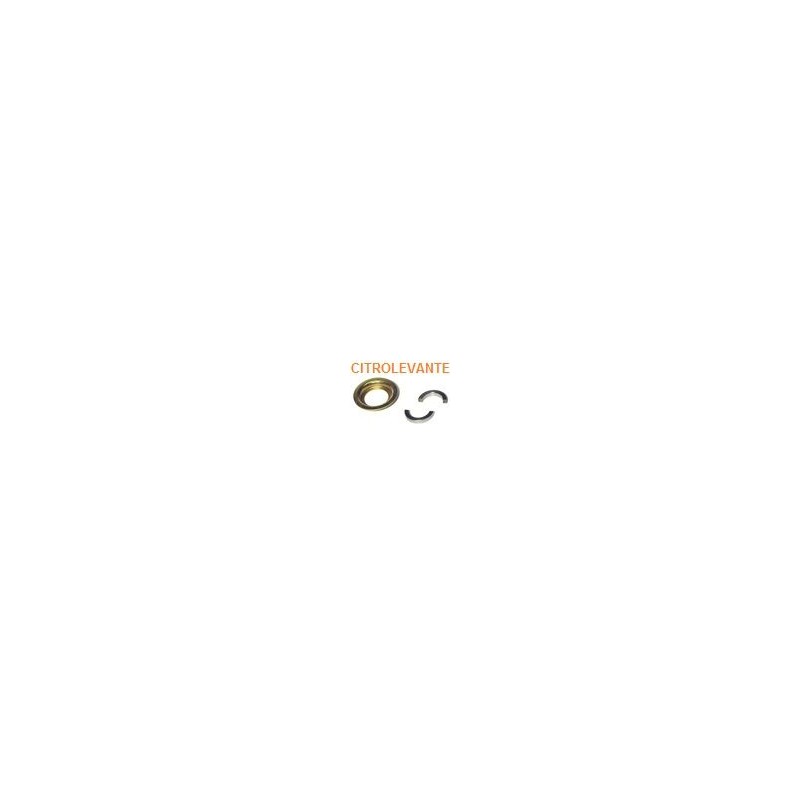 ANILLOS SUJECIÓN RODAMIENTO BOMBA
