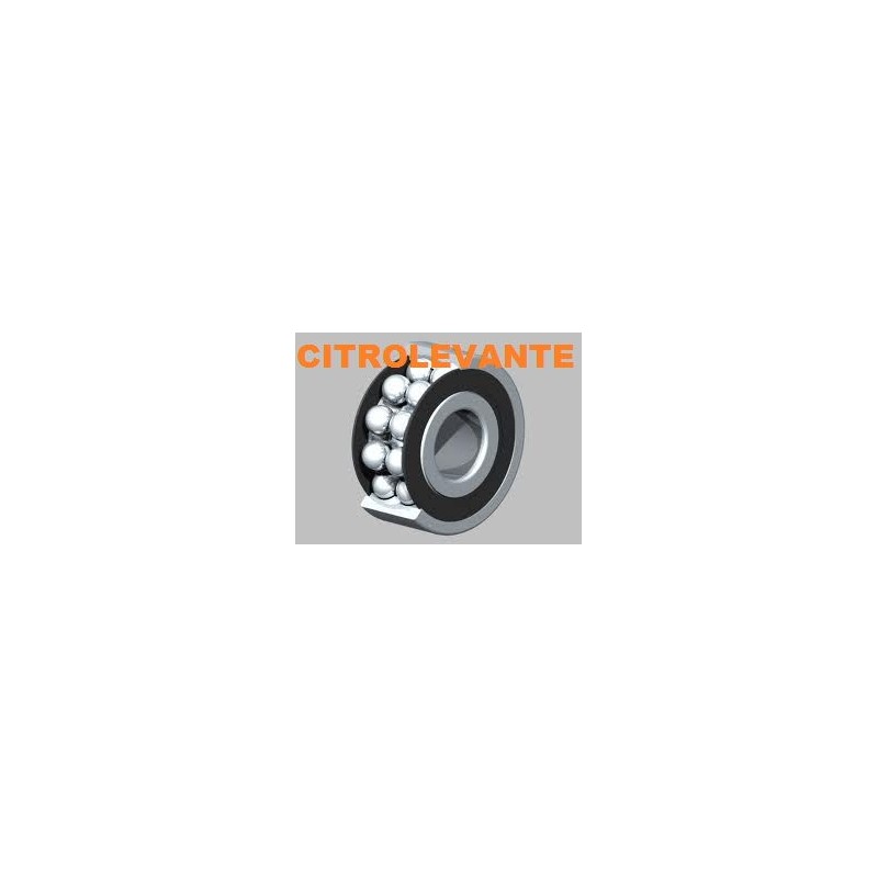 RODAMIENTO 257331