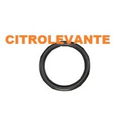 ANILLO TORICO BOMBA ALTA
