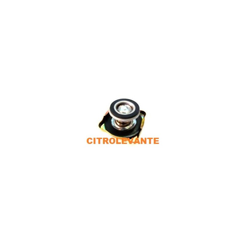 TAPON RADIADOR cuello largo