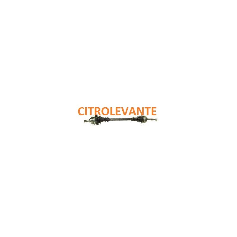TRANSMISIÓN Nuevo Modelo