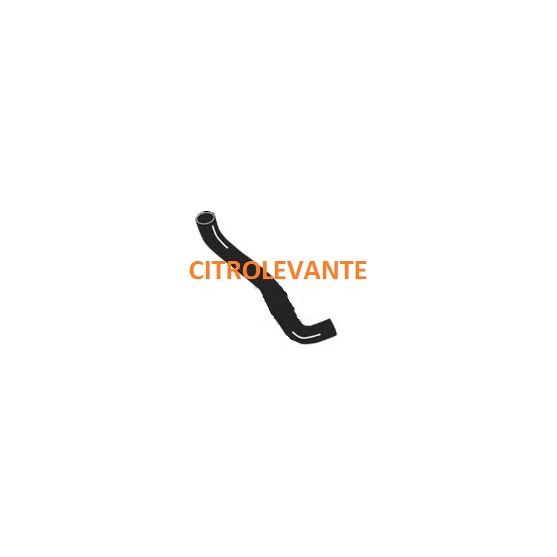 MANGUITO INF