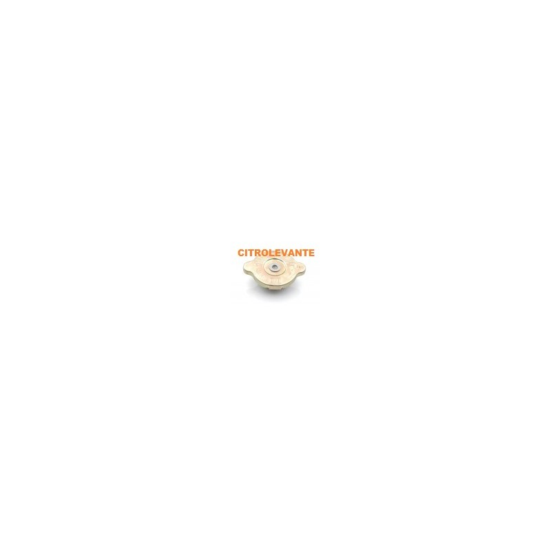 TAPON RADIADOR