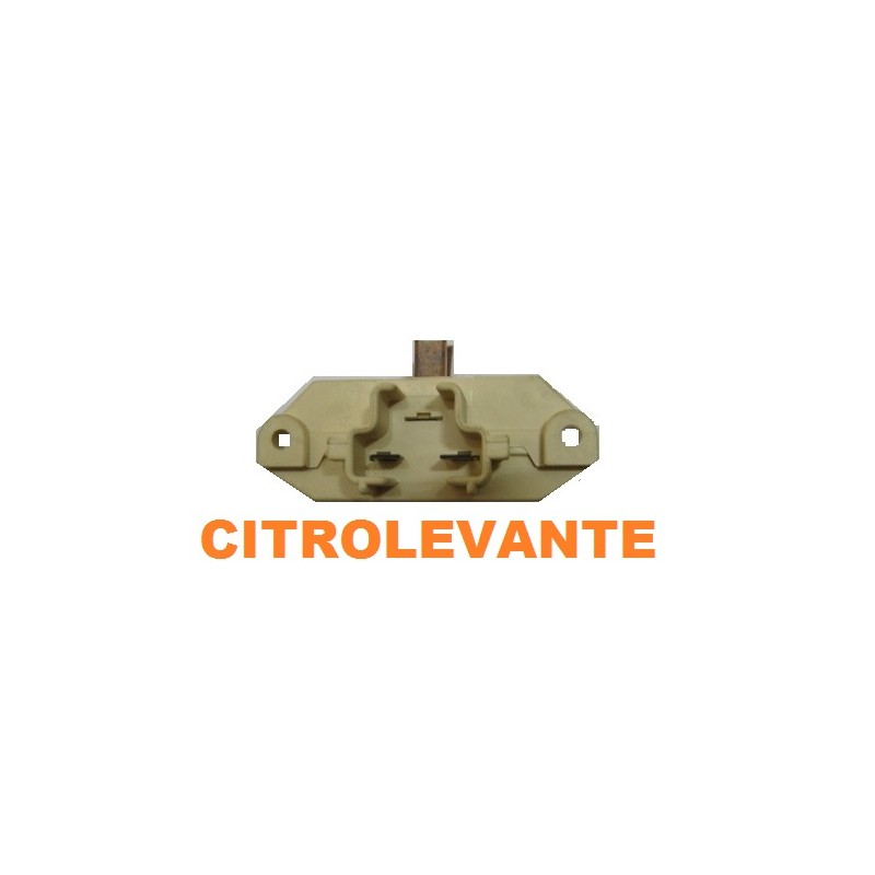 www.citrolevante.com