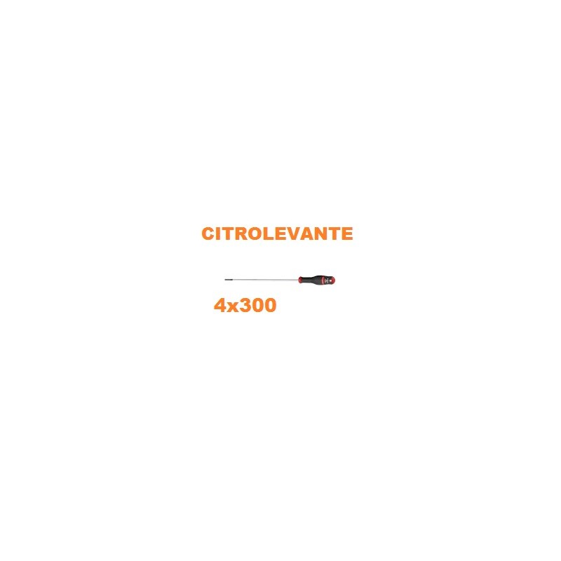 DESTORNILLADOR PLANO 4x300