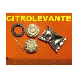KIT COJINETES BUJE TRASERO