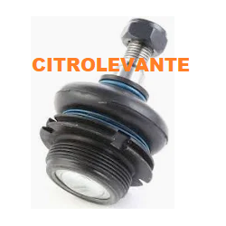 ROTULA SUSPENSION