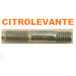 ESPARRAGO BOMBA GASOLINA