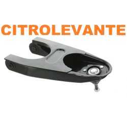 TRAPECIO DCHO R-4