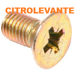 TORNILLO TAMBOR FRENO
