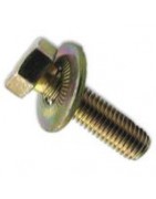 Tornilleria motor