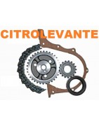 DISTRIBUCCIÓN