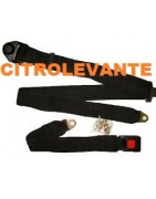 CINTURONES DE SEGURIDAD
