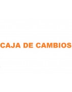CAJA DE CAMBIOS