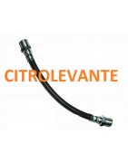 CIRCUITO FRENOS