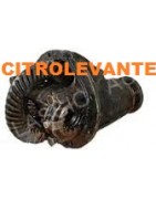 GRUPO