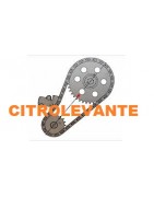 DISTRIBUCION