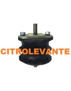 SOPORTE MOTOR