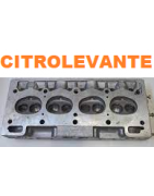 CULATA