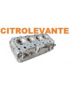 CULATA