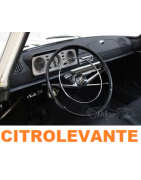 DIRECCIÓN