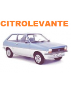 FIESTA