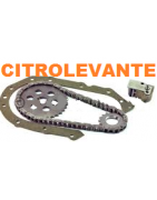 DISTRIBUCION