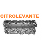 CULATA