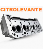 CULATA