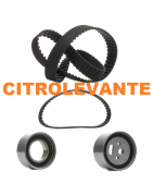 DISTRIBUCION