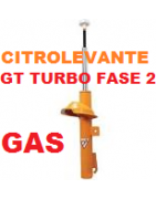 SUSPENSION DELANTERA