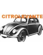 CARROCERIA
