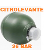 SUSPENSIONES TRASERAS