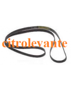DISTRIBUCION