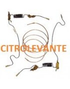 Circuito de freno