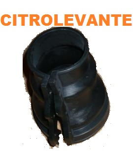 TRANSMISIÓN