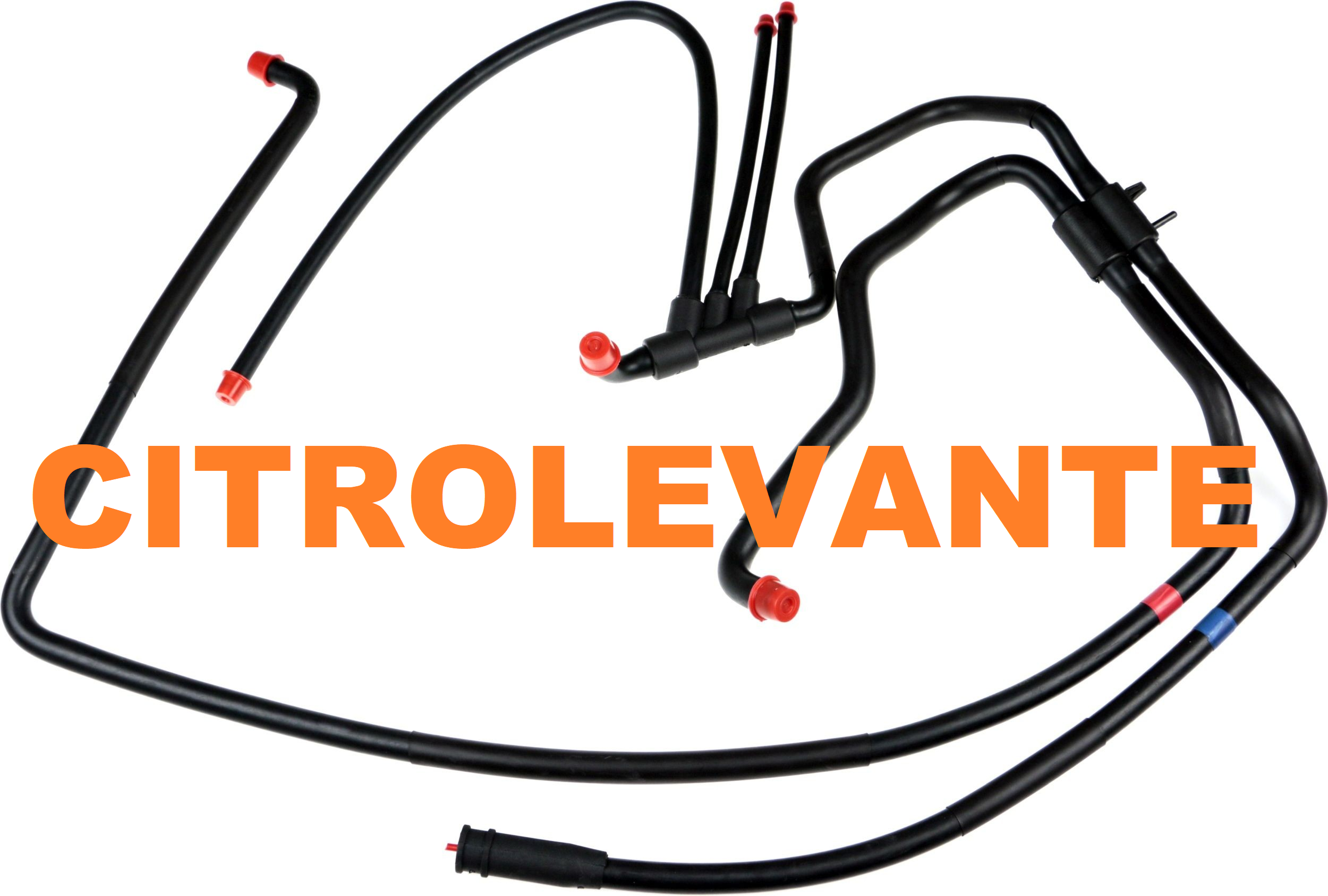 CIRCUITO SUSPENSION