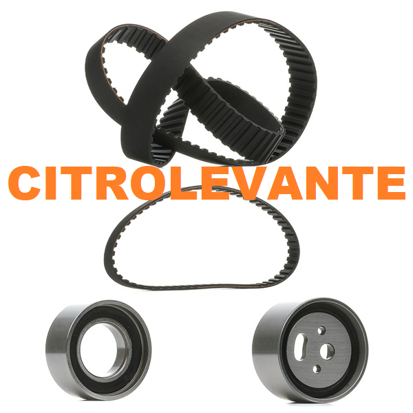 DISTRIBUCION