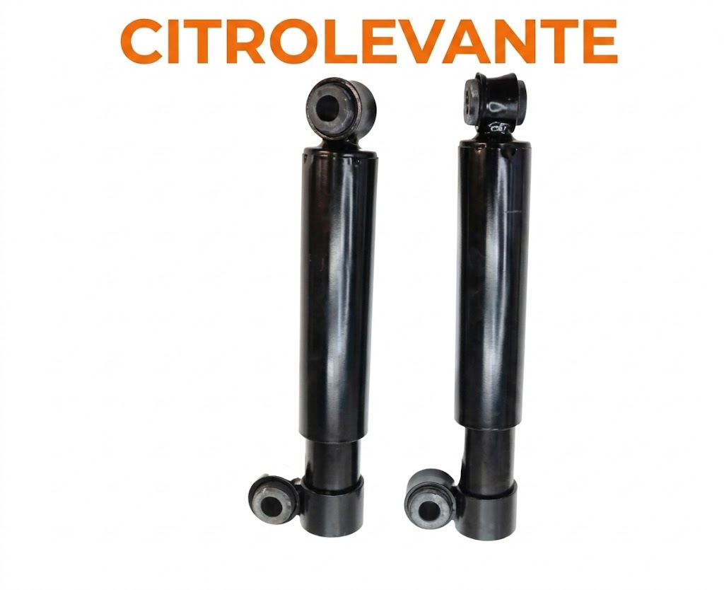 SUSPENSION TRASERA