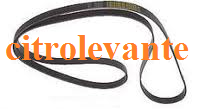 DISTRIBUCION