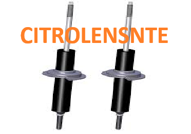SUSPENSION DELANTERA