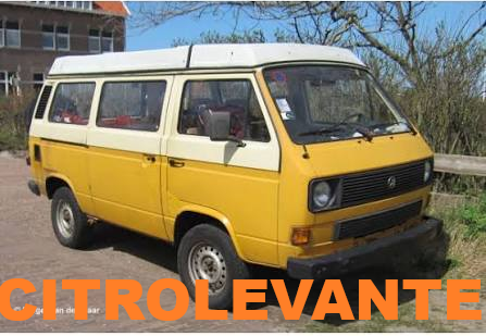 T3